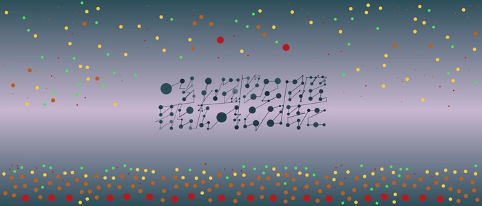 Image for 20211026