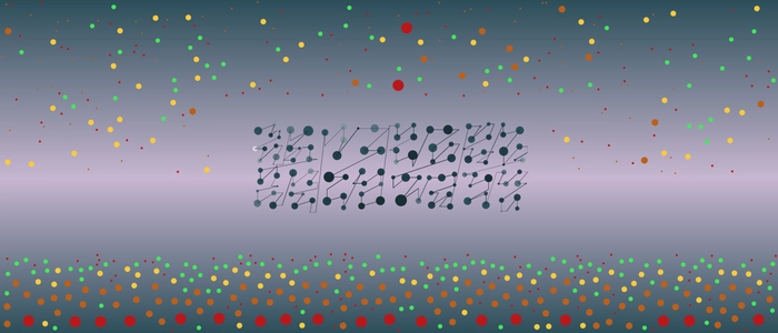 Image for 20211106
