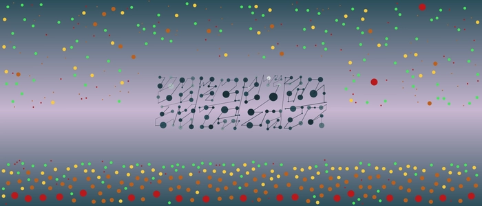 Image for 20211107