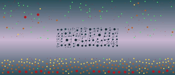 Image for 20211110