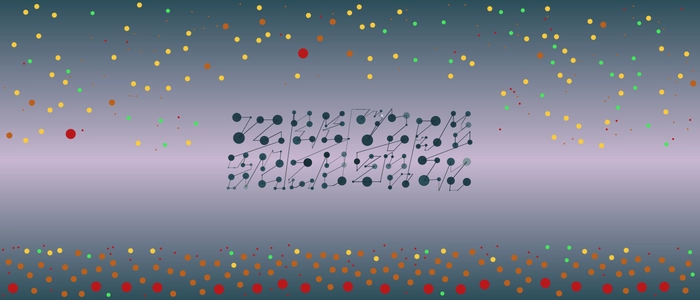 Image for 20211113