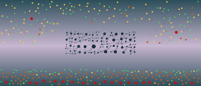 Image for 20211124