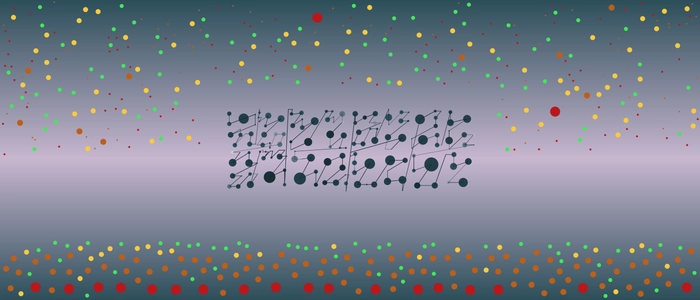 Image for 20211206