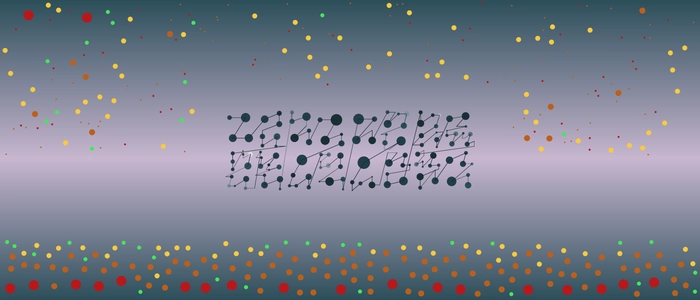 Image for 20211207