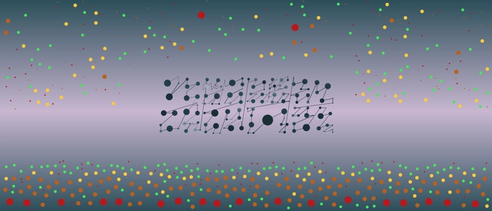 Image for 20211208