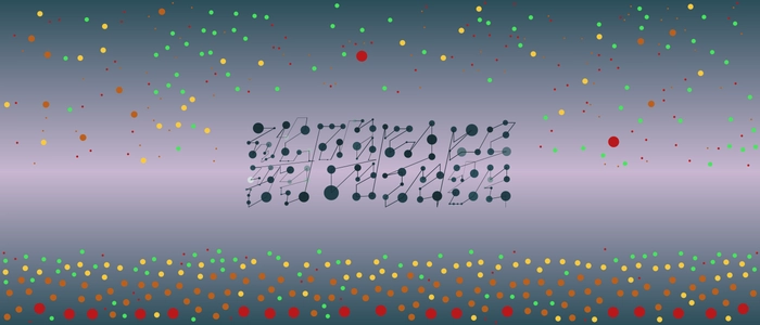 Image for 20211210