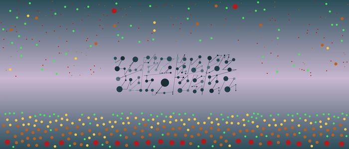 Image for 20211212