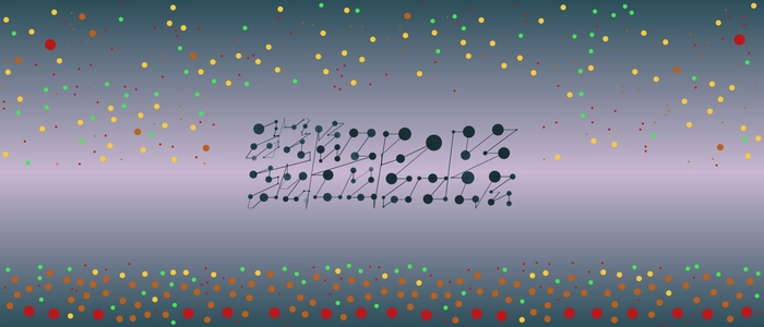 Image for 20211216
