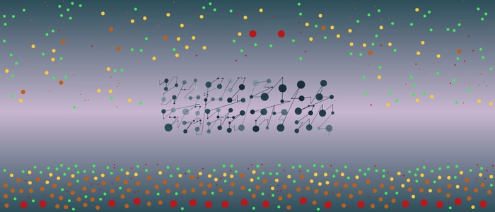 Image for 20211219
