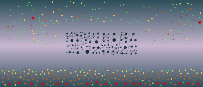 Image for 20211221
