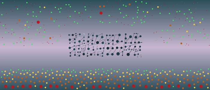 Image for 20211223